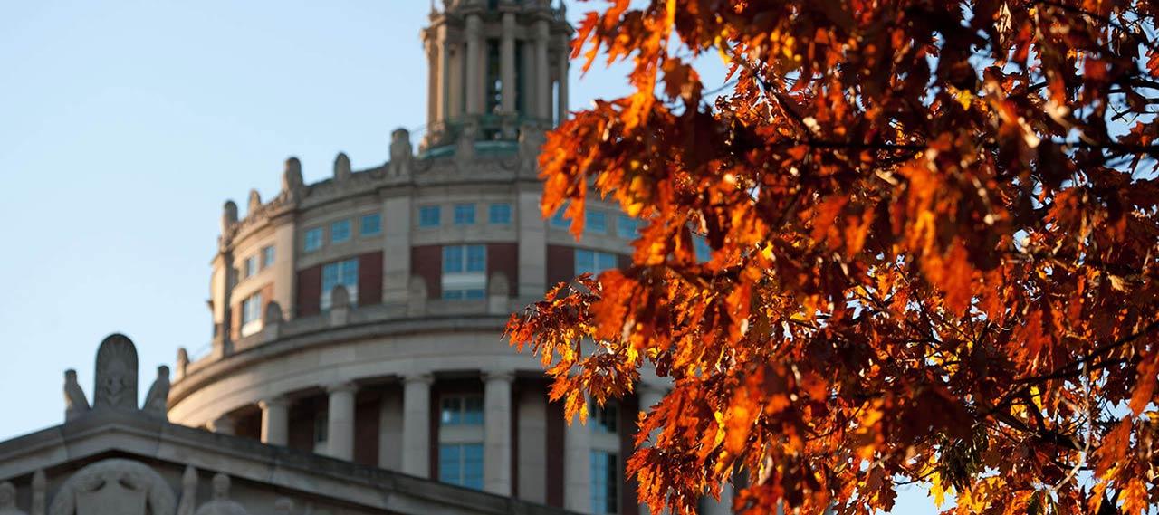 Fall foliage with the tower of Rush Rhees library in the background.